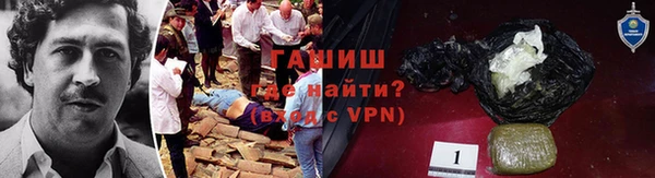 ГАЛЛЮЦИНОГЕННЫЕ ГРИБЫ Абаза